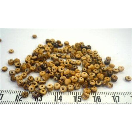 Coco anneau 02 03mm beige marron