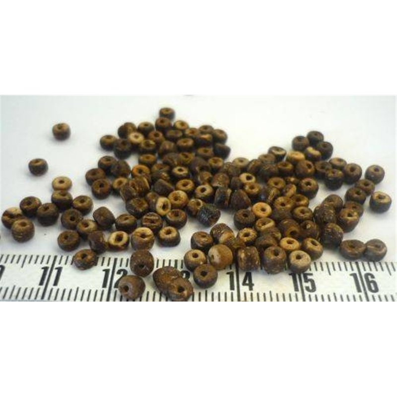 Coco anneau 02 03mm marron