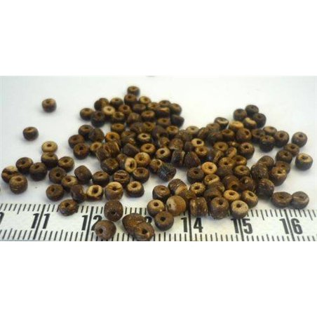 Coco anneau 02 03mm marron