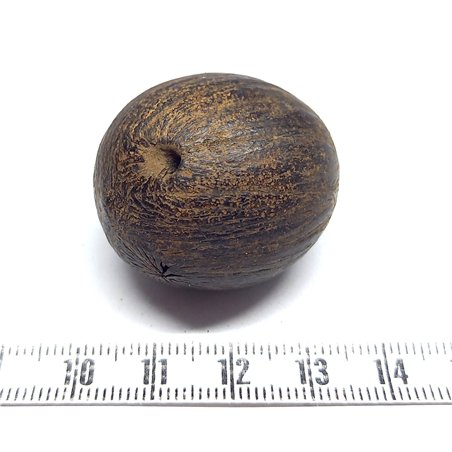 Ti Coco des Antilles poli