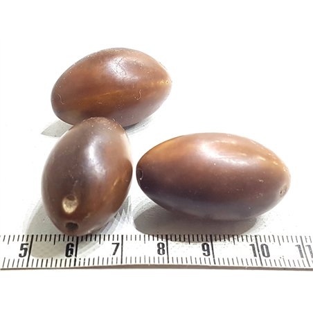 Palmier brun olive