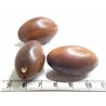 Palmier brun olive