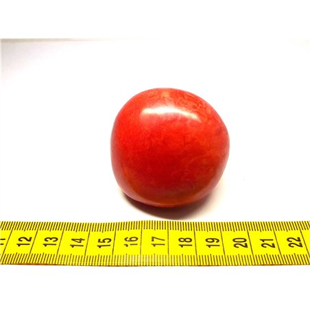 Tagua graine 5 cm rouge