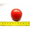 Tagua graine 5 cm rouge