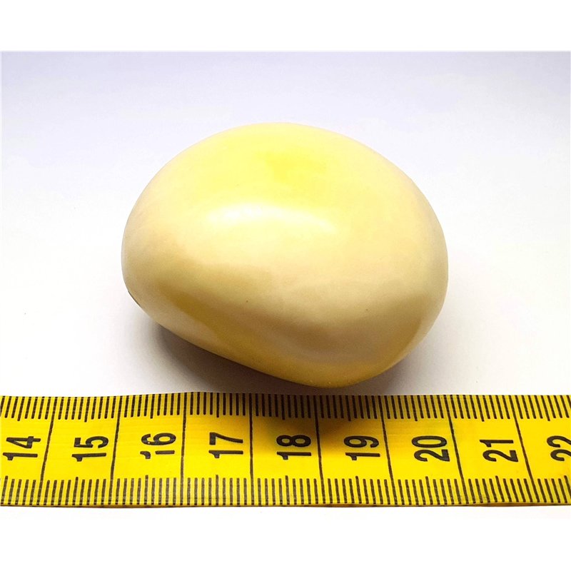 Tagua graine 5 cm blanc