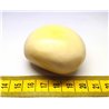 Tagua graine 5 cm blanc