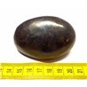 Tagua graine 6 cm noir