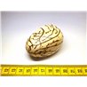 Tagua graine marbrée 5 cm