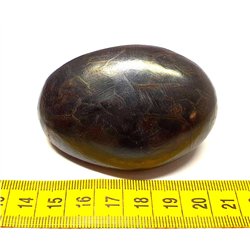 Tagua graine marbrée 6 cm noir