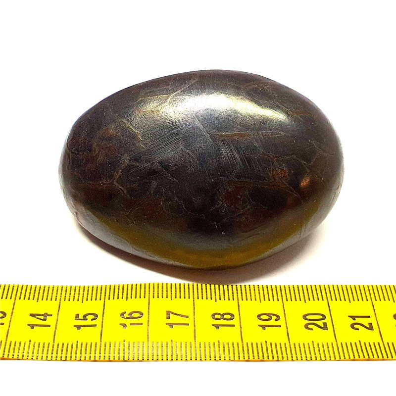 Tagua graine marbrée 6 cm noir