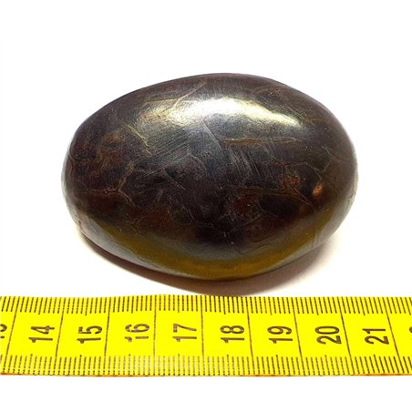 Tagua graine marbrée 6 cm noir