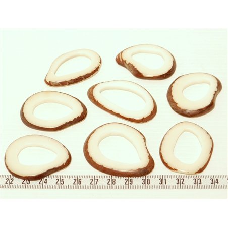 Tagua donut blanc x1