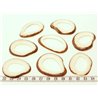 Tagua donut blanc x1