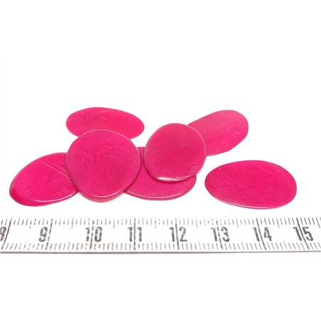 Tagua pétale   petite rose