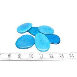 Tagua pétale   petite bleu