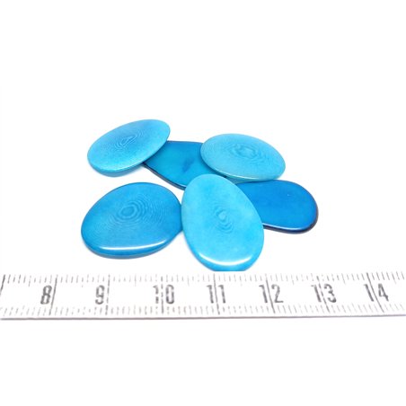 Tagua pétale   petite bleu
