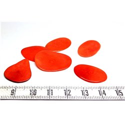Tagua pétale   petite rouge