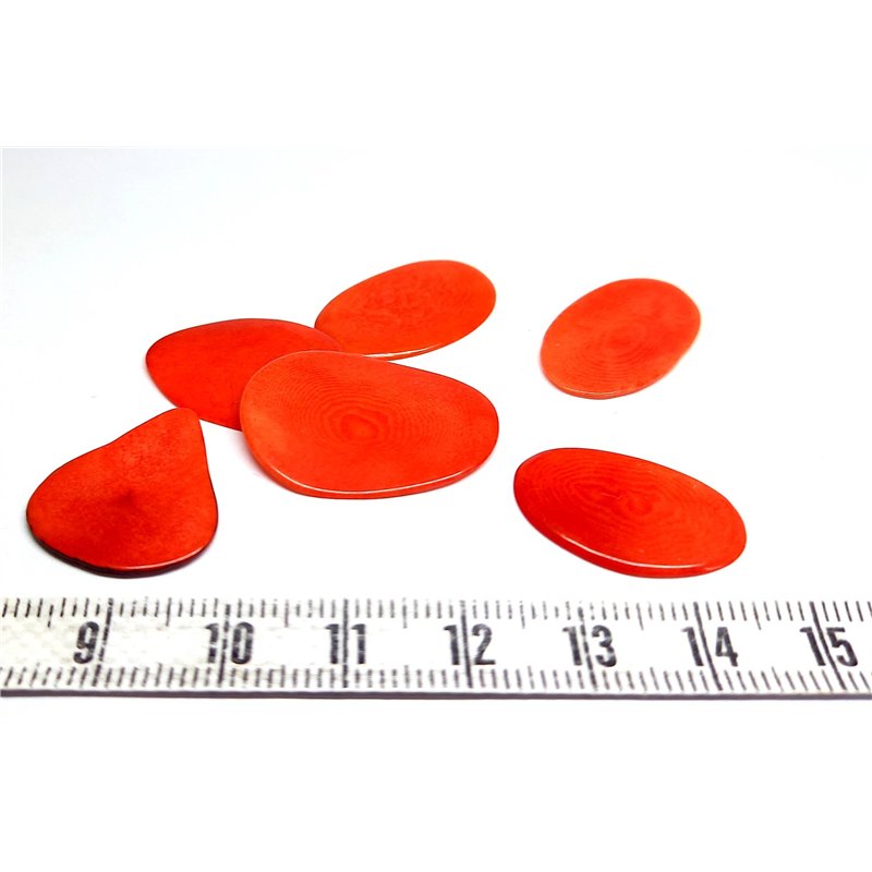 Tagua pétale   petite rouge