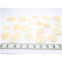 Tagua pétale   petite blanc