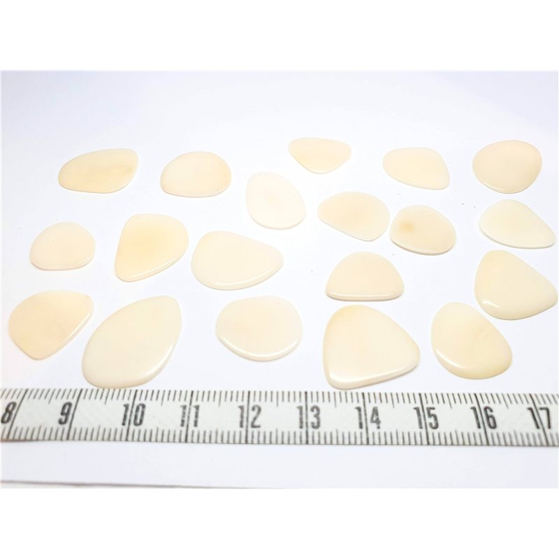 Tagua pétale   petite blanc