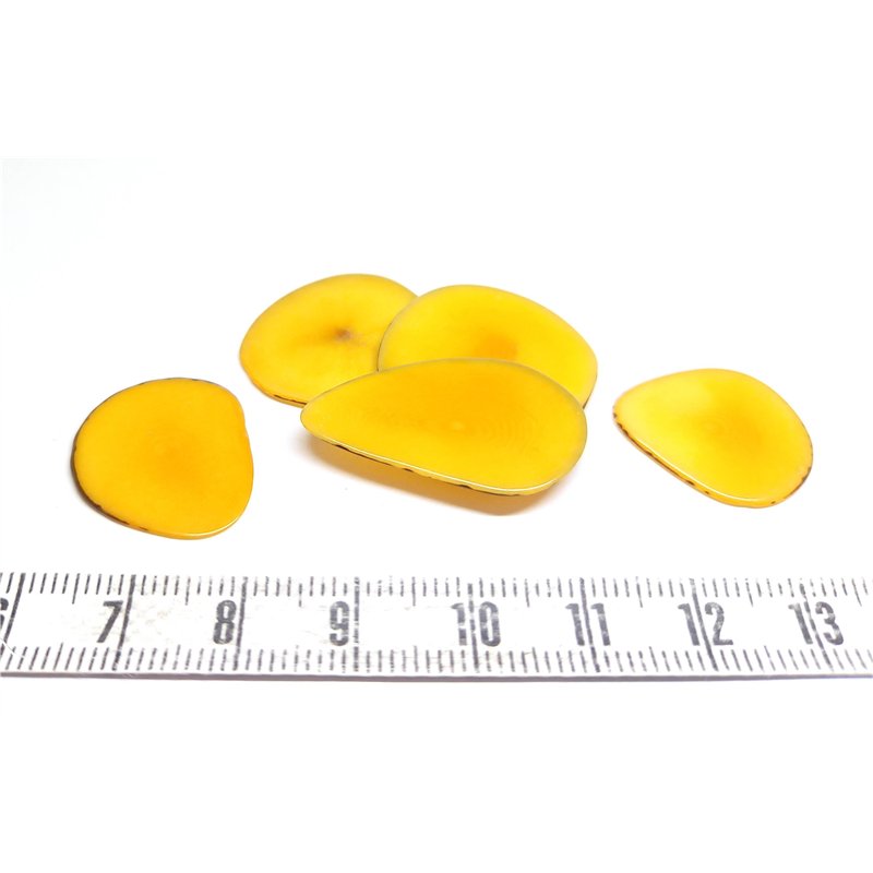 Tagua pétale petite orange