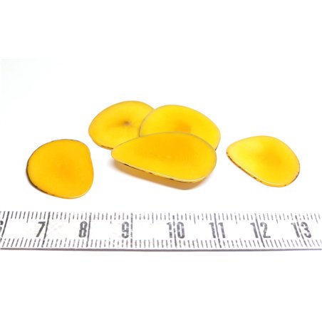 Tagua pétale petite orange