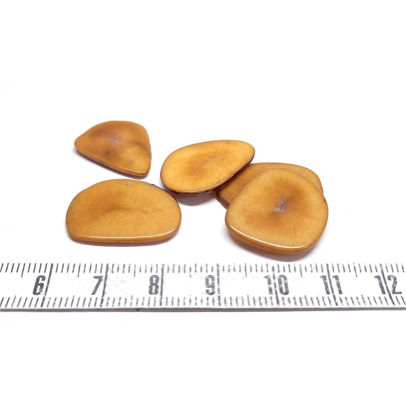 Tagua pétale petite marron