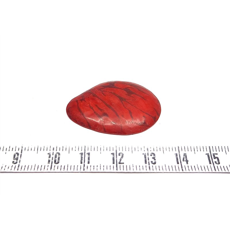 Tagua lame  marbrée   petite rouge