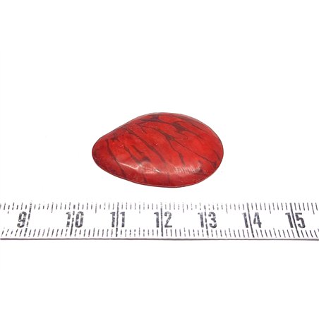 Tagua lame  marbrée   petite rouge