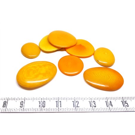 Tagua lame    petite orange
