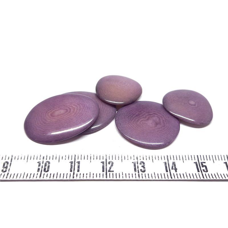 Tagua lame    petite violet