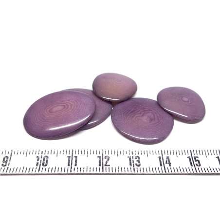 Tagua lame    petite violet