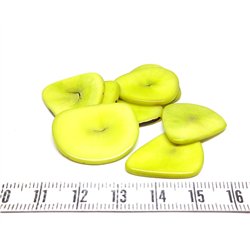 Tagua lame    petite vert