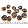 Oeil de boeuf rond du Bélize GLOSS