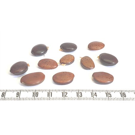 Oeil de bourrique marron marbré mini
