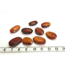 Pois sabre marron