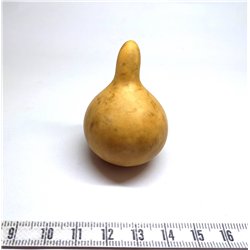 Calebasse courge mini