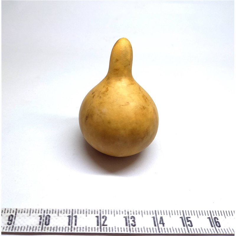 Calebasse courge mini