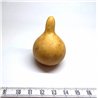 Calebasse courge mini