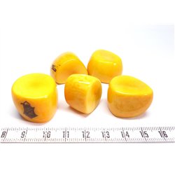 Tagua tronçon orange