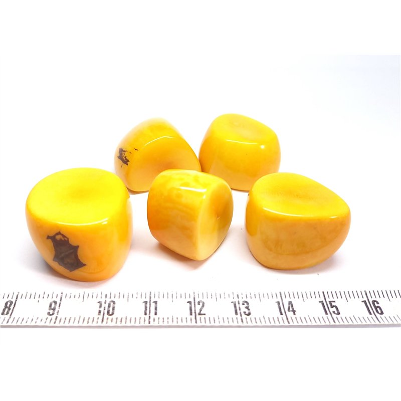 Tagua tronçon rose