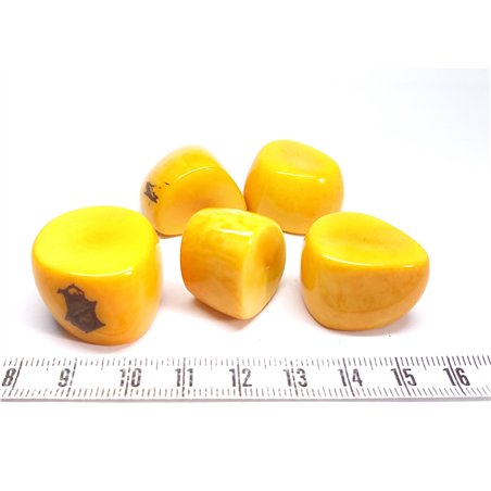 Tagua tronçon rose