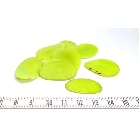 Tagua pétale petite verte