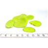 Tagua pétale petite verte