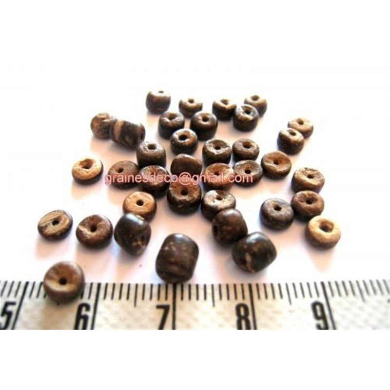 Coco anneau 04 05mm marron