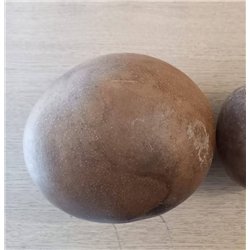 Calebasse +/- 20cm