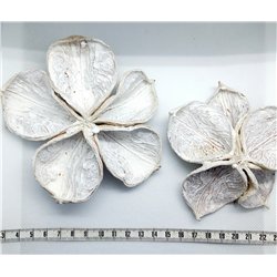copy of Fleur étoilée x 1