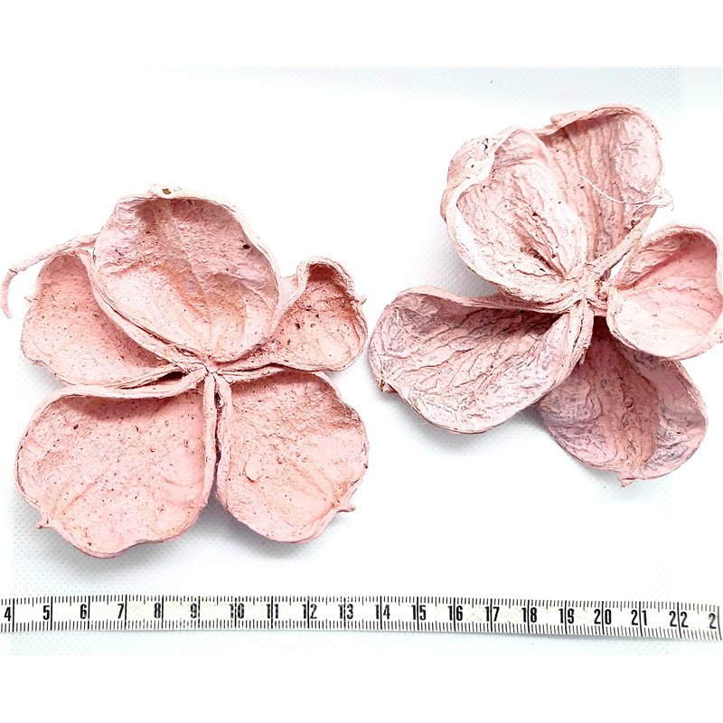 Fleur étoilée rose