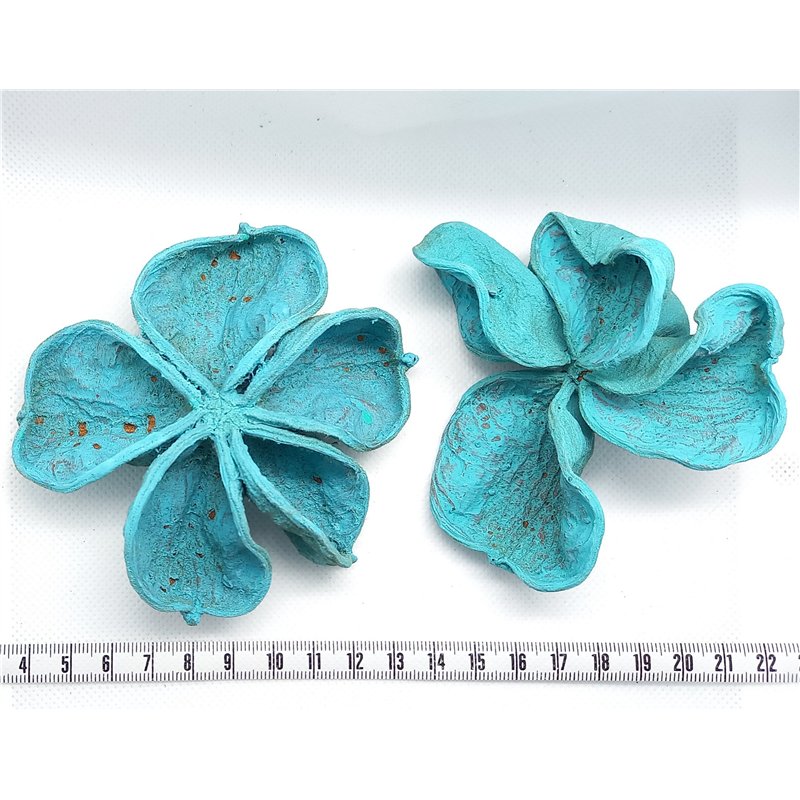 Fleur étoilée bleu