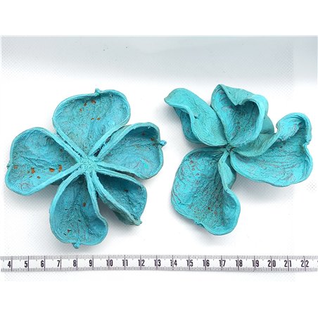Fleur étoilée bleu